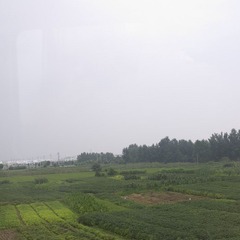 车窗外