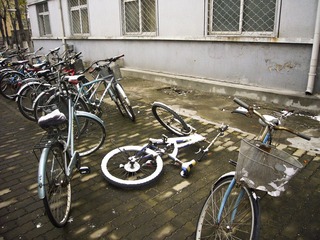 雪后