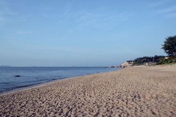 岛岸