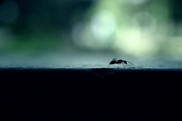 匆匆