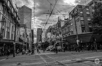 DSC00412 