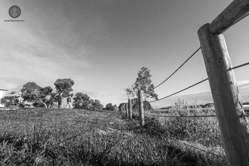 DSC00205 