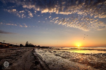 _DSC2344-Recovered 