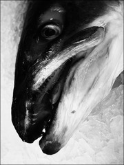R0018127
