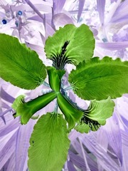 IMG_20140420_110334_