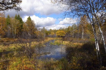 R0018171