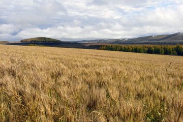 R0018540