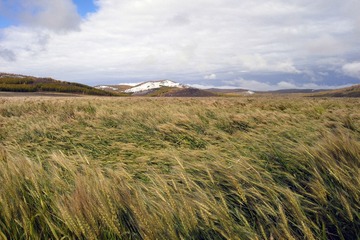 R0018544