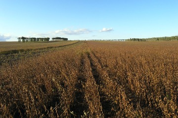 R0018642