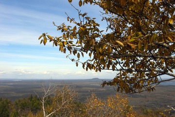 R0018693