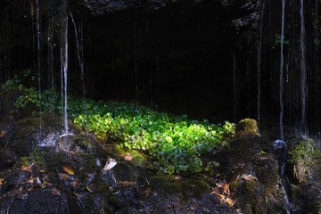 R0019112