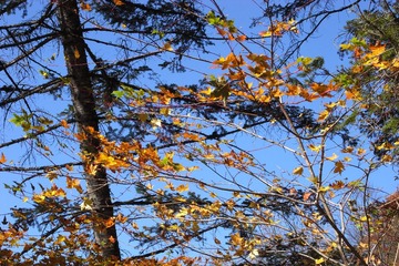 R0019124