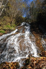 R0019161