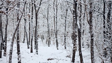 IMG_99871.jpg