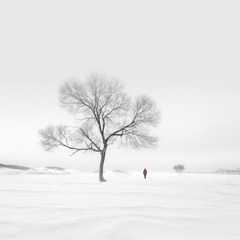 794F30EA-E394-4DA1-8C32-9ACA8D0EC9F5/L0/001