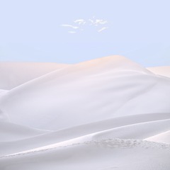 784050BC-29D2-4A9A-B177-FF6B01AAED1B/L0/001