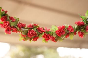 那些花儿