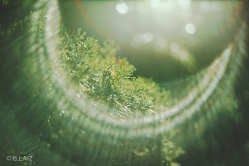 L1006137