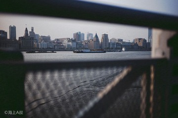 L1005436