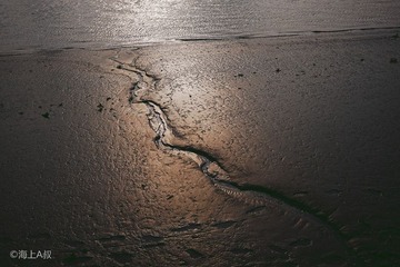 L1005417