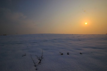 IMG_3834_