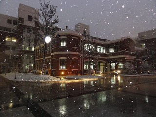 雪夜红楼