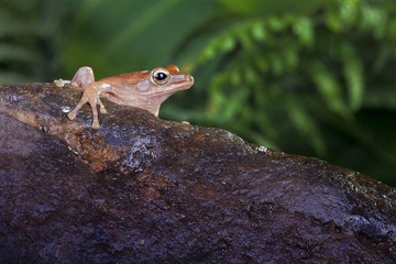 _MG_6061.jpg