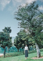 NMB_3353