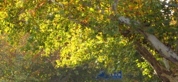 IMG_0647_副本1