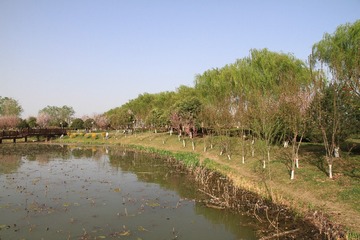 IMG_0796_副本