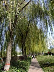 DSCF4294_