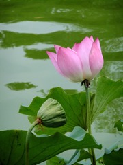 DSCF2399_