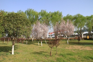 IMG_0776_副本