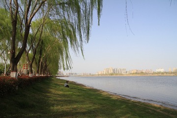 IMG_0802_副本