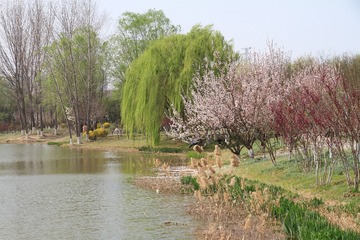 IMG_0510_副本