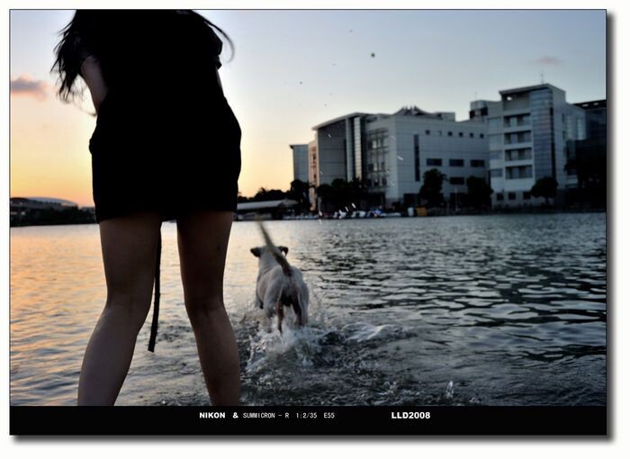 20100808夕阳美兰湖扔出去的球瞬间带起了水珠<br />
