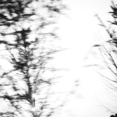 1620119