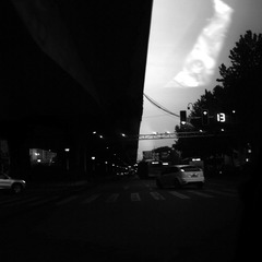 1620118