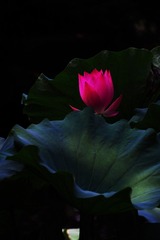 P7200289_