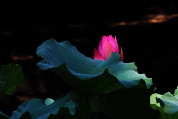P7200291_