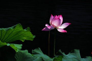 P7200302_