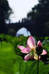 P7200344