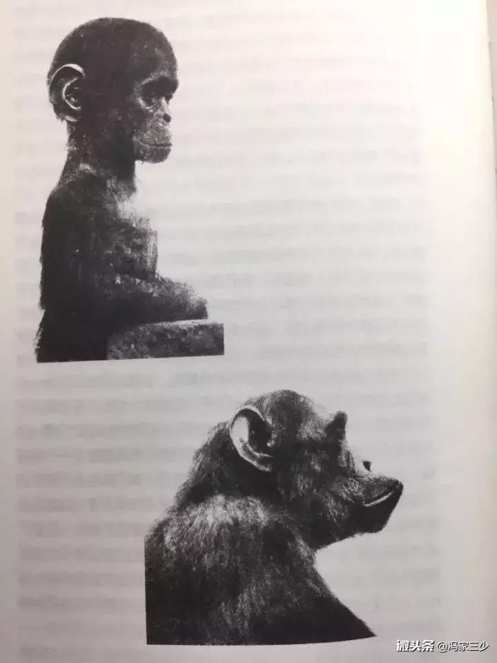 人类重大考古成果有哪些
