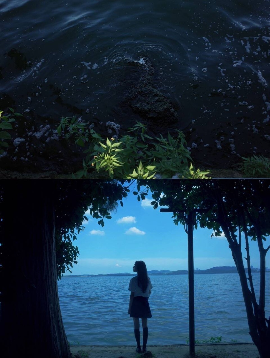 夏天的晚风轻轻拂过循着风抬头望见了月这一瞬间的浪漫你还没有失去