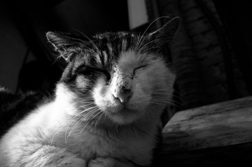 20130817-_DSC1762
