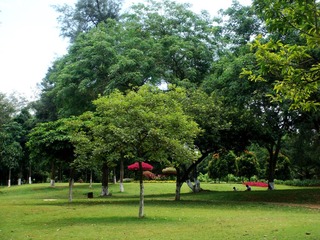DSC04222-