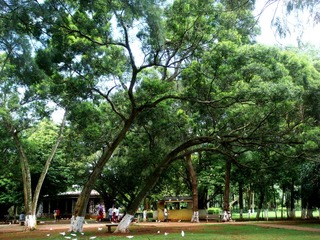 DSC04226-