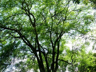 DSC04262-