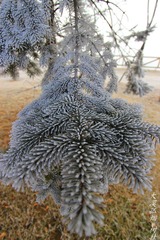 4_9943_HZP