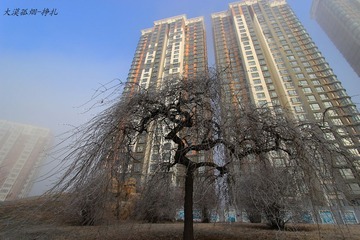 7_9913_HZP